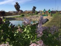 Пруд в коттеджном поселке Малиновые вечера.