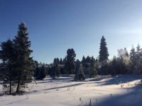 Окрестности коттеджного поселка Малиновые вечера