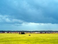 Окрестности коттеджного поселка Малиновые вечера